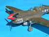 Hasegawa 1/32 P-40N-5 Warhawk by Tolga Ulgur: Image