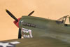 Hasegawa 1/32 P-40N-5 Warhawk by Tolga Ulgur: Image