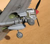 Hasegawa 1/32 P-40N-5 Warhawk by Tolga Ulgur: Image