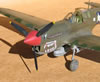 Hasegawa 1/32 P-40N-5 Warhawk by Tolga Ulgur: Image