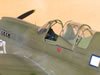 Hasegawa 1/32 P-40N-5 Warhawk by Tolga Ulgur: Image