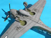 Hasegawa 1/32 P-40N-5 Warhawk by Tolga Ulgur: Image