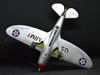 Dora Wings 1/48 P-43 Lancer PREVIEW: Image