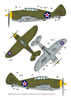 Dora Wings 1/48 P-43 Lancer PREVIEW: Image