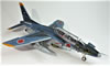 Hasegawa 1/48 Kawasaki T-4 F-2/F-15 Camouflage  by Steve Pritchard: Image