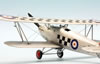 Airfix 1/48 Hawker Fury Mk.I by Roland Sachsenhofer: Image