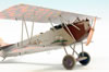 Eduard 1/48 Fokker D.VII by Roland Sachsenhofer: Image