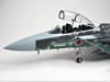 GWH 1/48 F-15DJ Eagle Aggressor by Steve Pritchard: Image