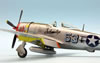 Tamiya 1/48 P-47D Thunderbolt Bubbletop by Roland Sachsenhofer: Image