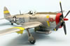 Tamiya 1/48 P-47D Thunderbolt Bubbletop by Roland Sachsenhofer: Image