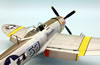 Tamiya 1/48 P-47D Thunderbolt Bubbletop by Roland Sachsenhofer: Image