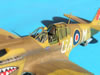 Hasegawa 1/32 P-40M Kittyhwk Mk.III by Tolga Ulgur: Image