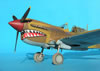 Hasegawa 1/32 P-40M Kittyhwk Mk.III by Tolga Ulgur: Image