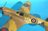 Hasegawa 1/32 P-40M Kittyhwk Mk.III by Tolga Ulgur: Image