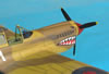 Hasegawa 1/32 P-40M Kittyhwk Mk.III by Tolga Ulgur: Image