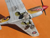 Hasegawa 1/32 P-40M Kittyhwk Mk.III by Tolga Ulgur: Image