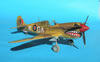 Hasegawa 1/32 P-40M Kittyhwk Mk.III by Tolga Ulgur: Image