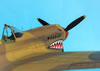 Hasegawa 1/32 P-40M Kittyhwk Mk.III by Tolga Ulgur: Image