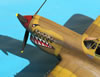 Hasegawa 1/32 P-40M Kittyhwk Mk.III by Tolga Ulgur: Image