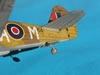 Hasegawa 1/32 P-40M Kittyhwk Mk.III by Tolga Ulgur: Image