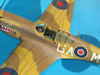 Hasegawa 1/32 P-40M Kittyhwk Mk.III by Tolga Ulgur: Image