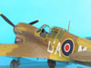 Hasegawa 1/32 P-40M Kittyhwk Mk.III by Tolga Ulgur: Image