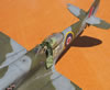 Pacific Coast Models 1/32 Spitfire Mk.XIVe by Tolga Ulgur: Image