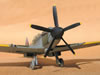 Pacific Coast Models 1/32 Spitfire Mk.XIVe by Tolga Ulgur: Image