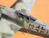 Hasegawa 1/32 Fw 190 F-8 by Tolga Ulgur: Image