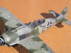 Hasegawa 1/32 Fw 190 F-8 by Tolga Ulgur: Image