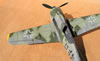 Hasegawa 1/32 Fw 190 F-8 by Tolga Ulgur: Image