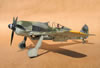 Hasegawa 1/32 Fw 190 F-8 by Tolga Ulgur: Image