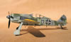 Hasegawa 1/32 Fw 190 F-8 by Tolga Ulgur: Image