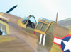 Hasegawa + Grey Matter 1/32 P-40L Warhawk by Tolga Ulgur: Image