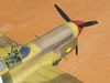 Hasegawa + Grey Matter 1/32 P-40L Warhawk by Tolga Ulgur: Image