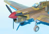 Hasegawa + Grey Matter 1/32 P-40L Warhawk by Tolga Ulgur: Image