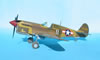 Hasegawa + Grey Matter 1/32 P-40L Warhawk by Tolga Ulgur: Image