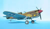 Hasegawa + Grey Matter 1/32 P-40L Warhawk by Tolga Ulgur: Image