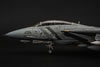 AMKs 1/48 scale F-14D Super Tomcat by Denis Bugakov: Image