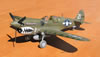 Hasegawa 1/32 P-40N Warhawk by Tolga Ulgur: Image