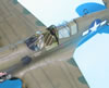 Hasegawa 1/32 P-40N Warhawk by Tolga Ulgur: Image