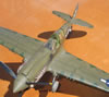 Hasegawa 1/32 P-40N Warhawk by Tolga Ulgur: Image