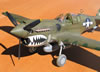 Hasegawa 1/32 P-40N Warhawk by Tolga Ulgur: Image