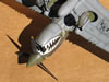 Hasegawa 1/32 P-40N Warhawk by Tolga Ulgur: Image