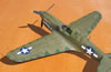 Hasegawa 1/32 P-40N Warhawk by Tolga Ulgur: Image