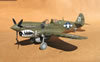 Hasegawa 1/32 P-40N Warhawk by Tolga Ulgur: Image