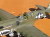 Hasegawa 1/32 P-40N Warhawk by Tolga Ulgur: Image