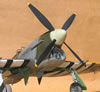 Special Hobby 1/32 Hawker Tempest Mk.V by Tolga Ulgur: Image