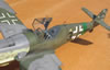 Hasegawa 1/32 Messerschmitt Bf 109 G-6/AS by Tolga Ulgur: Image