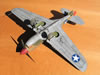 Hasegawa 1/32 P-40E Warhawk by Tolga Ulgur: Image